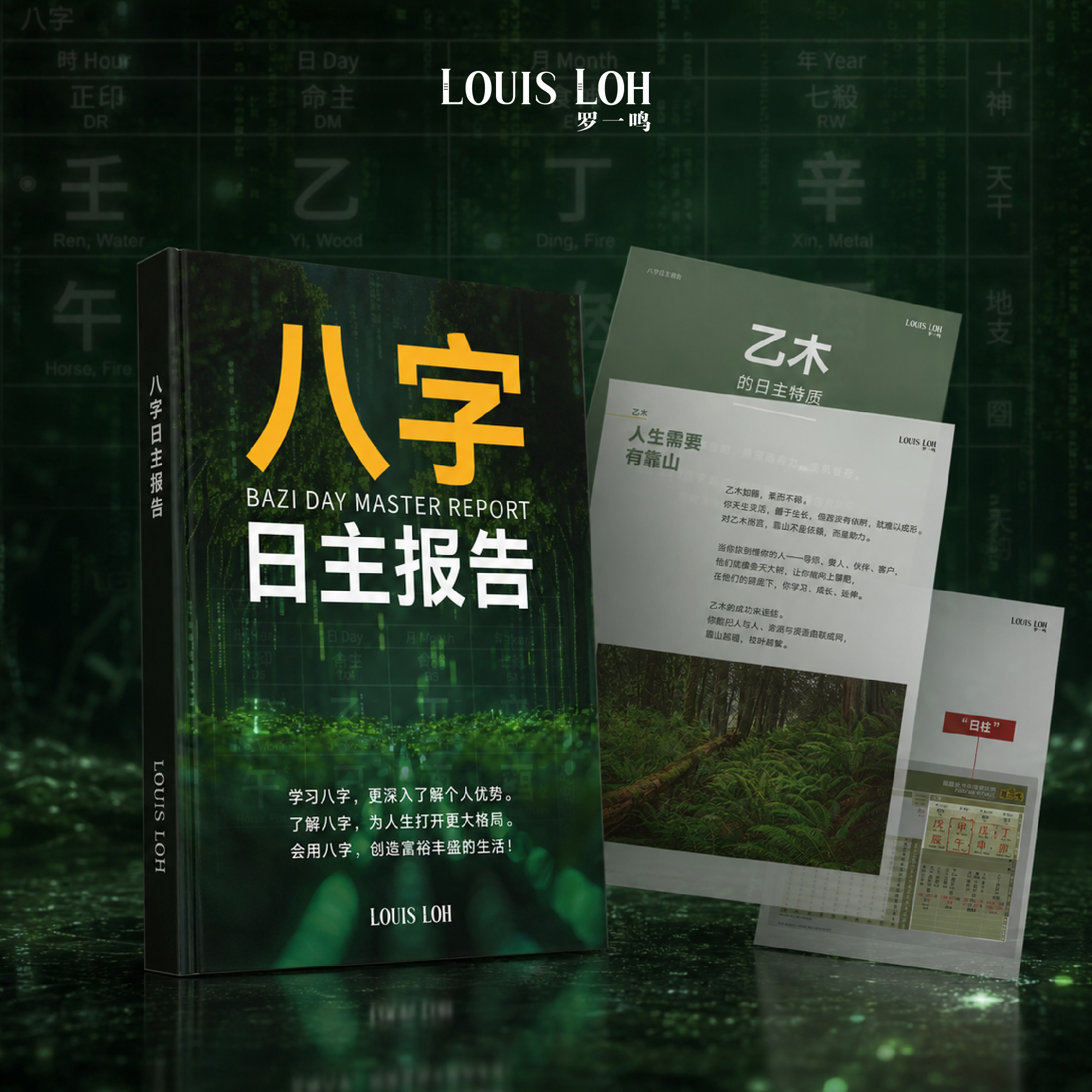 八字日主报告